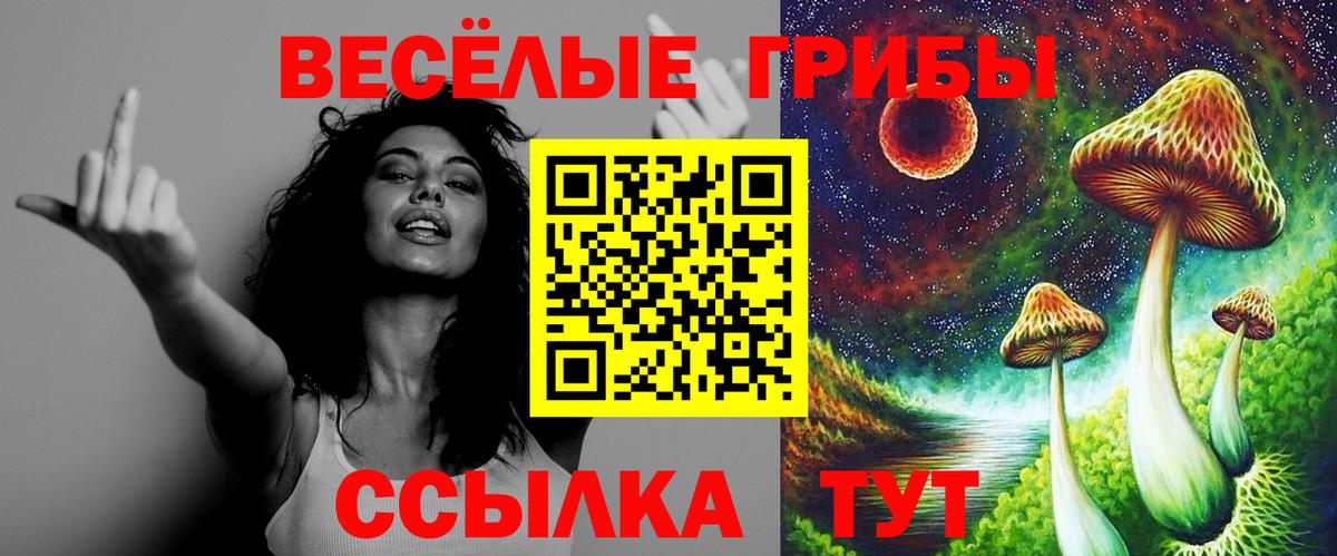 Псилоцибиновые грибы Magic Shrooms Сосновый Бор